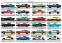 Pontiac Firebird 1970 - 1981 second generation model chart p