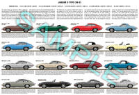 Jaguar E-Type XK-E production history poster print