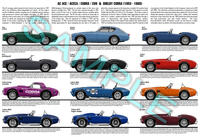 AC Ace / Shelby Cobra / Aceca production history poster