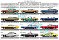 1973 Ford Mustang model year poster print Mach 1 Grande